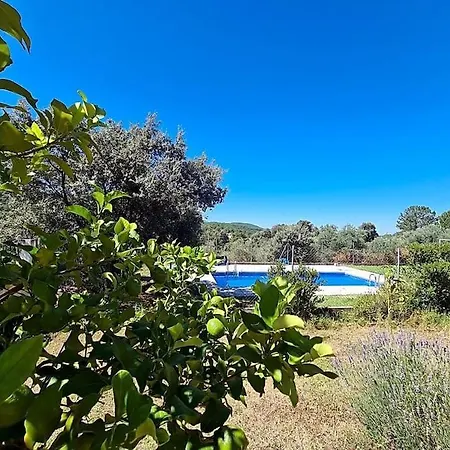 Holiday home Chalet Rural